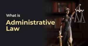 Read more about the article What is Administrative Law, Its Meaning, Scope Nature, and Function?